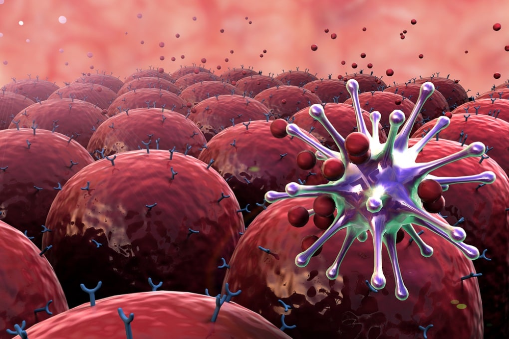 Sistema immunitario e malattie autoimmuni