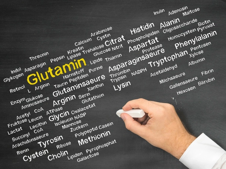 Cos'è la glutammina?